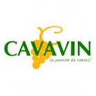 Cavavin Nantes