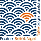 Pauline Belliot-Niget Rflexologie plantaire Nantes